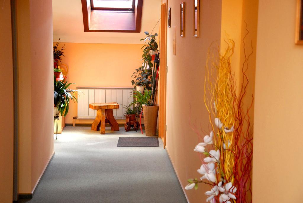 Fruehstueckspension Wiesenhaus Miesenbach  Buitenkant foto